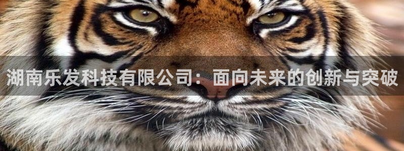 mg不朽情缘3官网：湖南乐发科技有限公司：面向未来的创新与突破