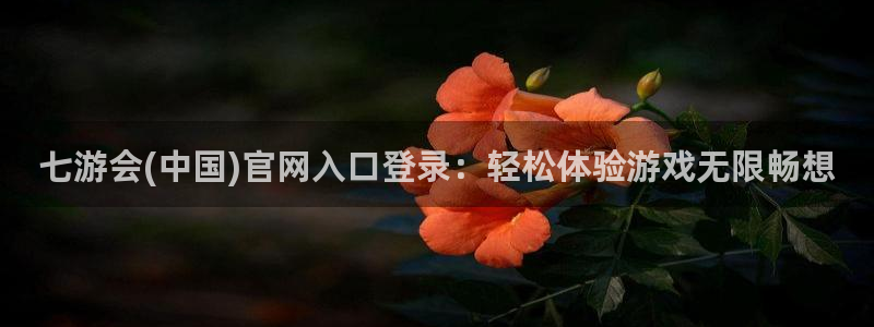 mg不朽情缘集团：七游会(中国)官网入口登录：轻松体验游戏无限畅想