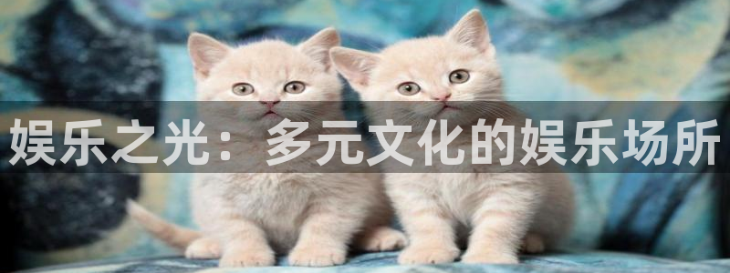 mg不朽情缘体育官网入口登录：娱乐之光：多元文化的娱乐场所