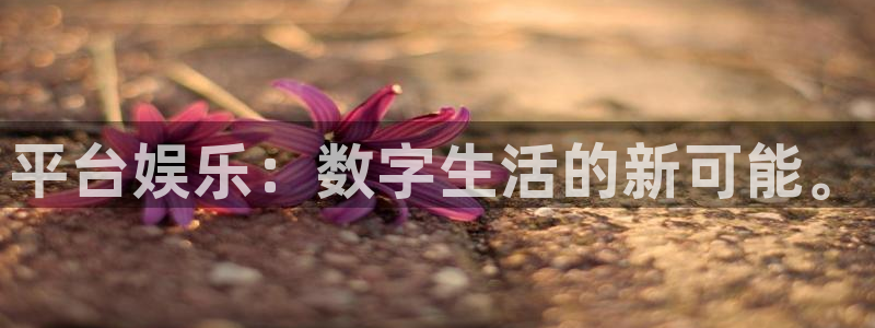mg不朽情缘5注册：平台娱乐：数字生活的新可能。