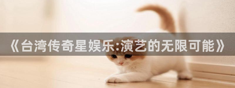 mg不朽情缘kgame：《台湾传奇星娱乐:演艺的无限可能》