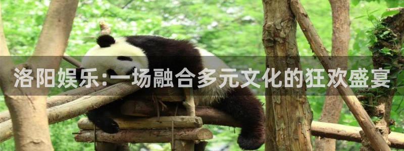 mg不朽情缘凯捷平台：洛阳娱乐:一场融合多元文化的狂欢盛宴