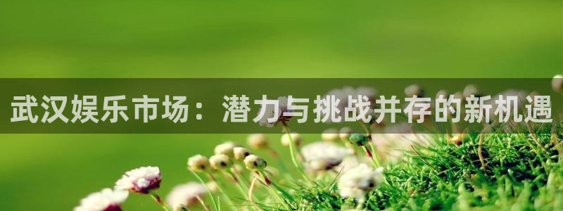mg不朽情缘体育注册登录入口：武汉娱乐市场：潜力与挑战并存的新机遇