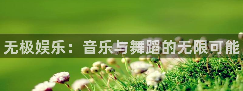 mg不朽情缘体育合法嘛：无极娱乐：音乐与舞蹈的无限可能