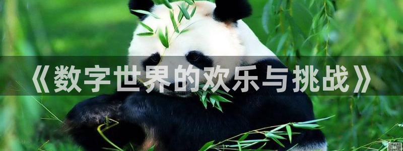 mg不朽情缘体育游戏：《数字世界的欢乐与挑战》