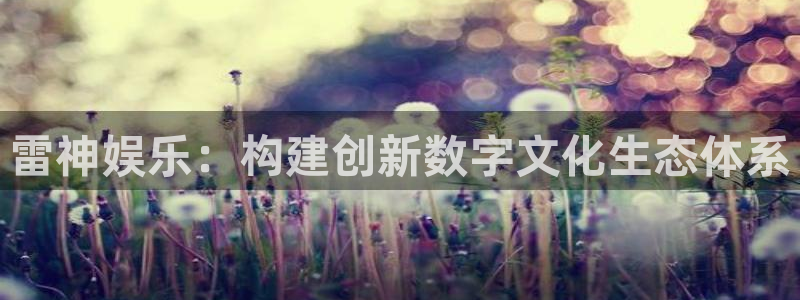 上海mg不朽情缘汽车电子有限公司：雷神娱乐：构建创新数字文化生态体系