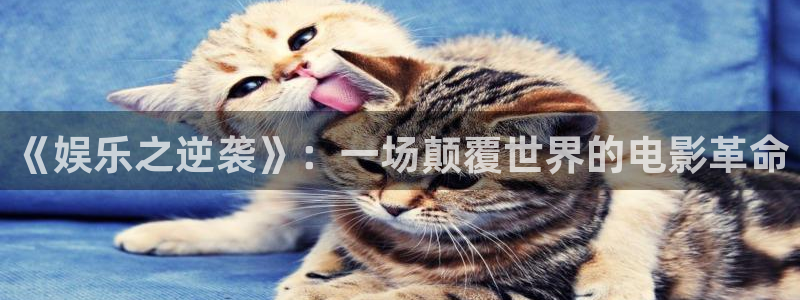mg不朽情缘平台官网：《娱乐之逆袭》：一场颠覆世界的电影革命