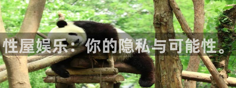 mg不朽情缘零能源集团：性屋娱乐：你的隐私与可能性。