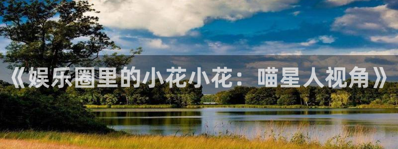mg不朽情缘体育3：《娱乐圈里的小花小花：喵星人视角》
