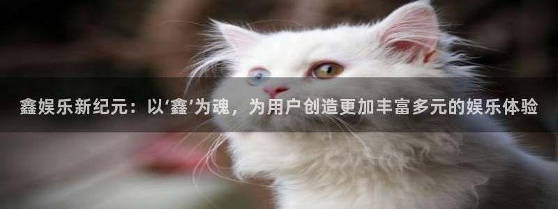 mg不朽情缘体育平台注册：鑫娱乐新纪元：以‘鑫’为魂，为用户创造更加丰富多元的娱