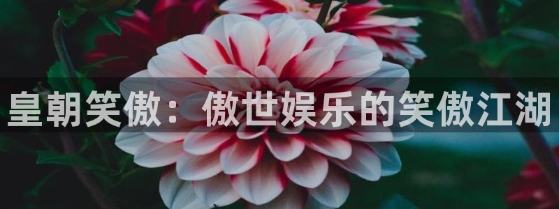mg不朽情缘游戏有哪些好玩的：皇朝笑傲：傲世娱乐的笑傲江湖