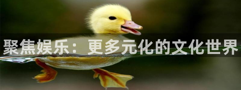 mg不朽情缘2登录入口：聚焦娱乐：更多元化的文化世界