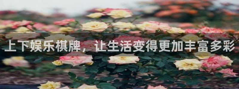 mg不朽情缘体育注册：上下娱乐棋牌，让生活变得更加丰富多彩